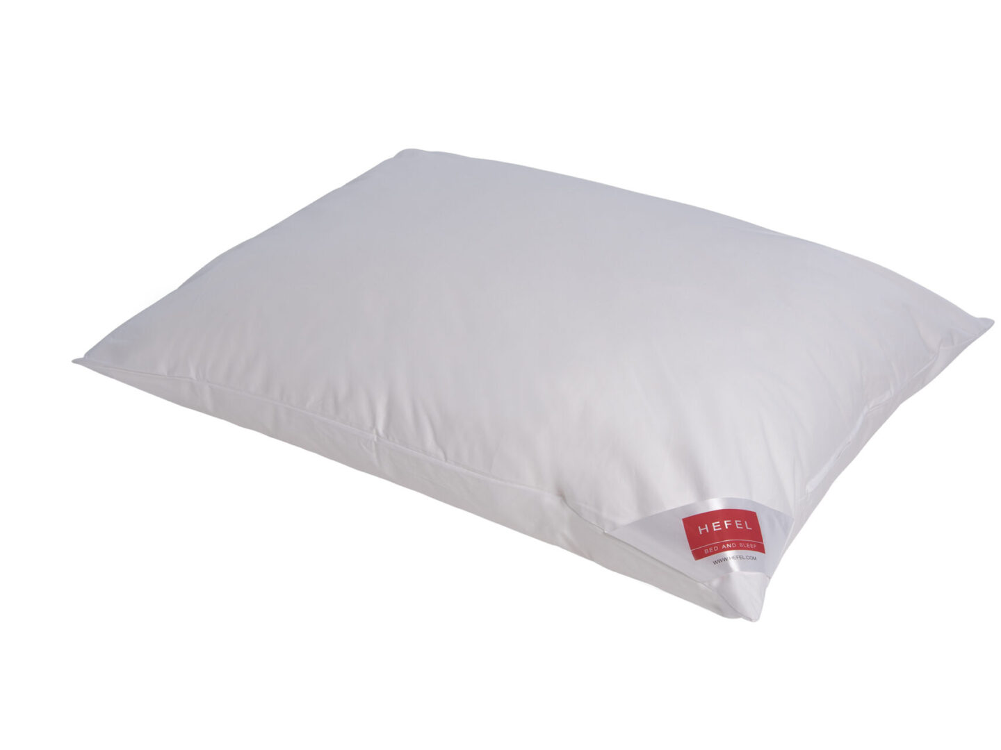 Hoofdkussen, 65 x 65 cm, 2 stuks, anti-allergeen, anti-mijtbehandeling, microvezel, wasbaar